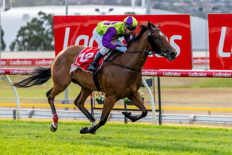 Jockey in purple and lime-green silks riding a brown racehorse on a grass track, with red Ladbrokes banners in the background.