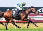 Leading brown racehorse with saddlecloth number 4, ridden by a jockey in blue and yellow silks, racing on a grassy track with another horse and jockey in the background