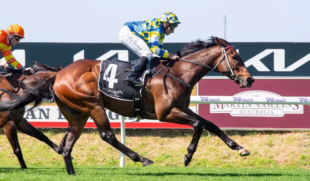 Leading brown racehorse with saddlecloth number 4, ridden by a jockey in blue and yellow silks, racing on a grassy track with another horse and jockey in the background