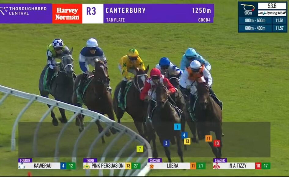 Group of Thoroughbred horses and jockeys race around a turf bend; on-screen banners show Canterbury R3, 1250m, and a bottom ticker lists KAWEARU, PINK PERSUASION, LOERA, IN A TIZZY.