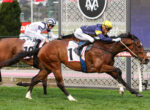 Two racehorses gallop side by side on a grass track, jockeys in white/blue and blue/yellow silks urging them forward (saddlecloths show numbers).