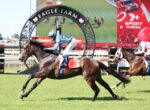 Leading brown racehorse with blue-plaid-jockey at Eagle Farm, red saddlecloth number 3, speeding on the track.