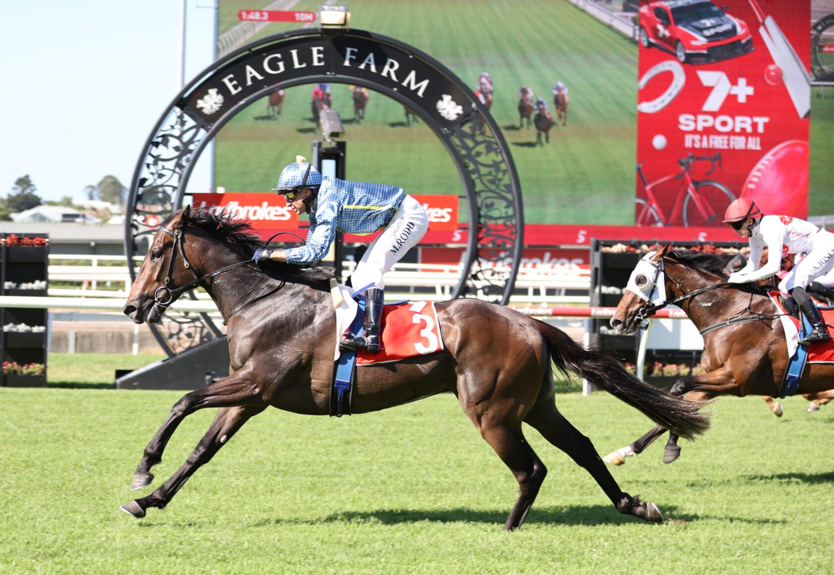 Leading brown racehorse with blue-plaid-jockey at Eagle Farm, red saddlecloth number 3, speeding on the track.