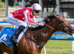 Jockey in red and white silks and white helmet rides a brown racehorse at full gallop, gripping the reins.