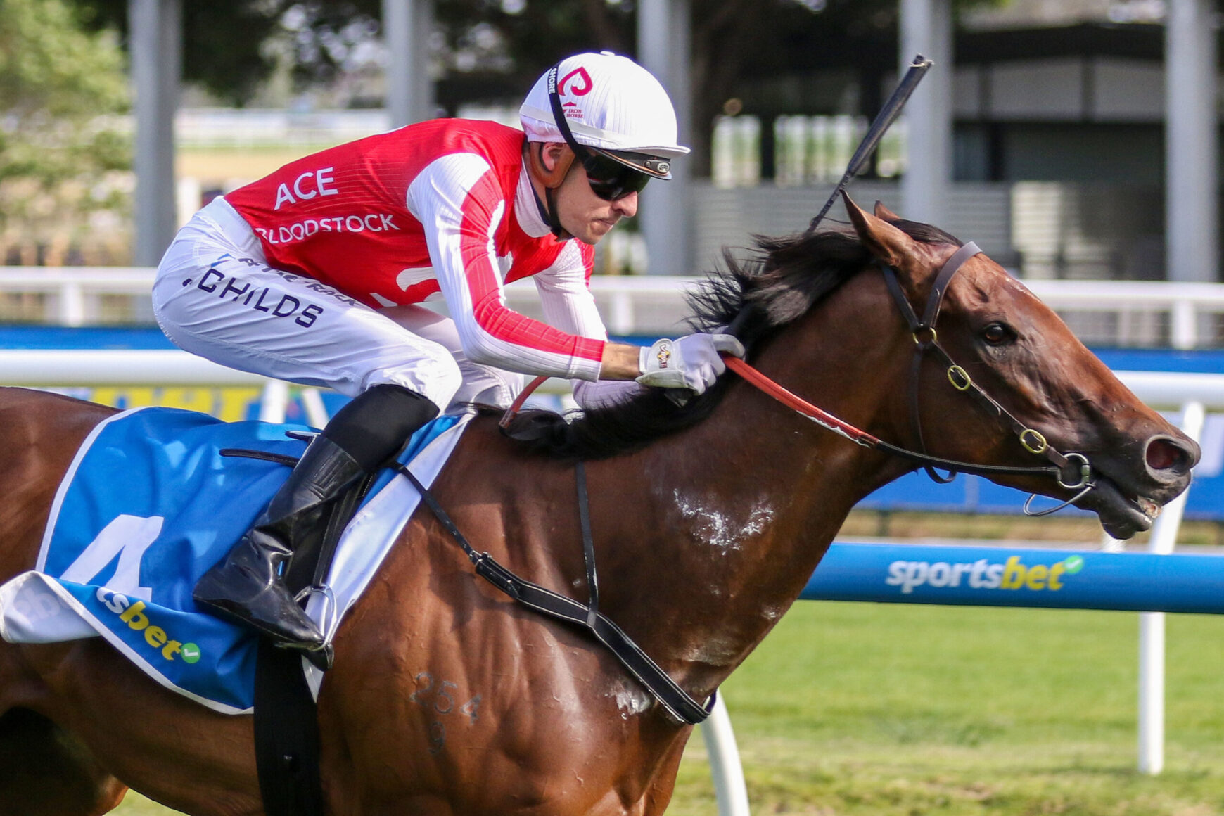 Jockey in red and white silks and white helmet rides a brown racehorse at full gallop, gripping the reins.