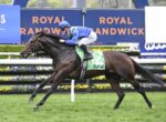 Horse and jockey racing on a track; rider in blue silks and helmet, horse wearing green number-12 saddle cloth.