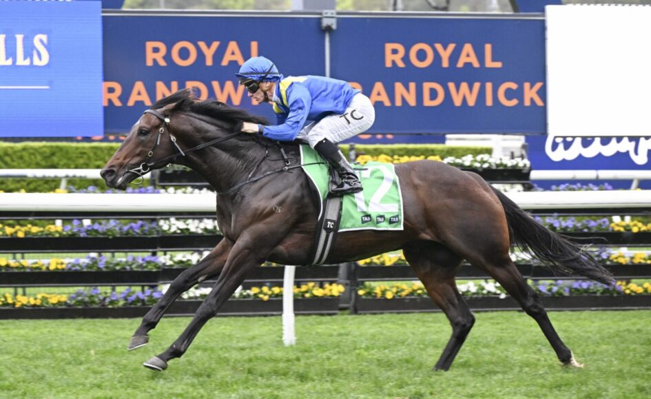 Horse and jockey racing on a track; rider in blue silks and helmet, horse wearing green number-12 saddle cloth.