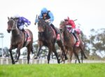 Racehorses and jockeys sprinting on a track, lead horse in blue silks with rider leaning forward