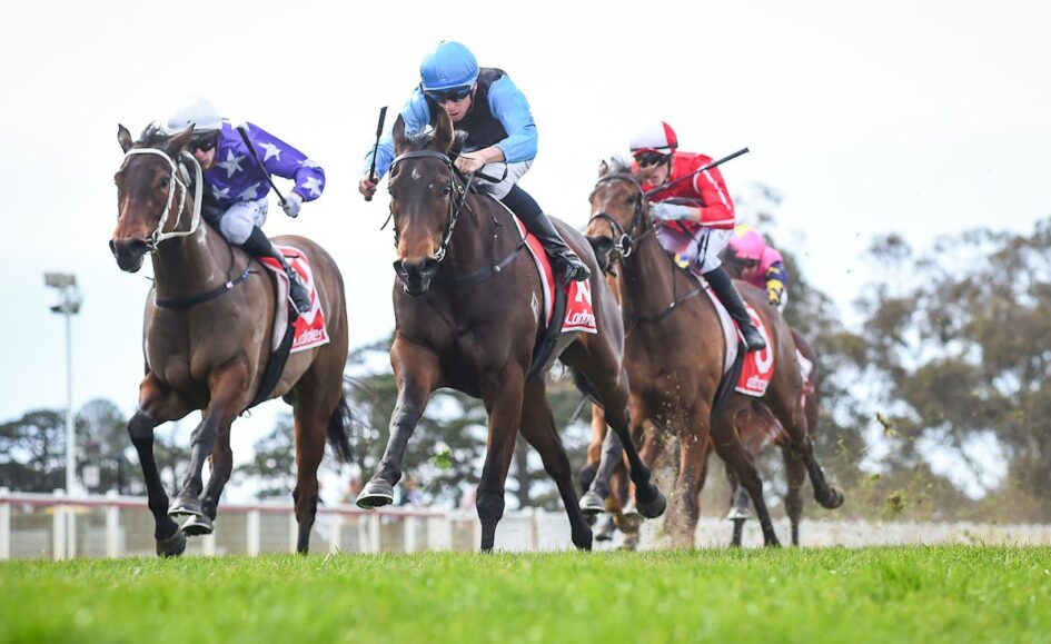Racehorses and jockeys sprinting on a track, lead horse in blue silks with rider leaning forward