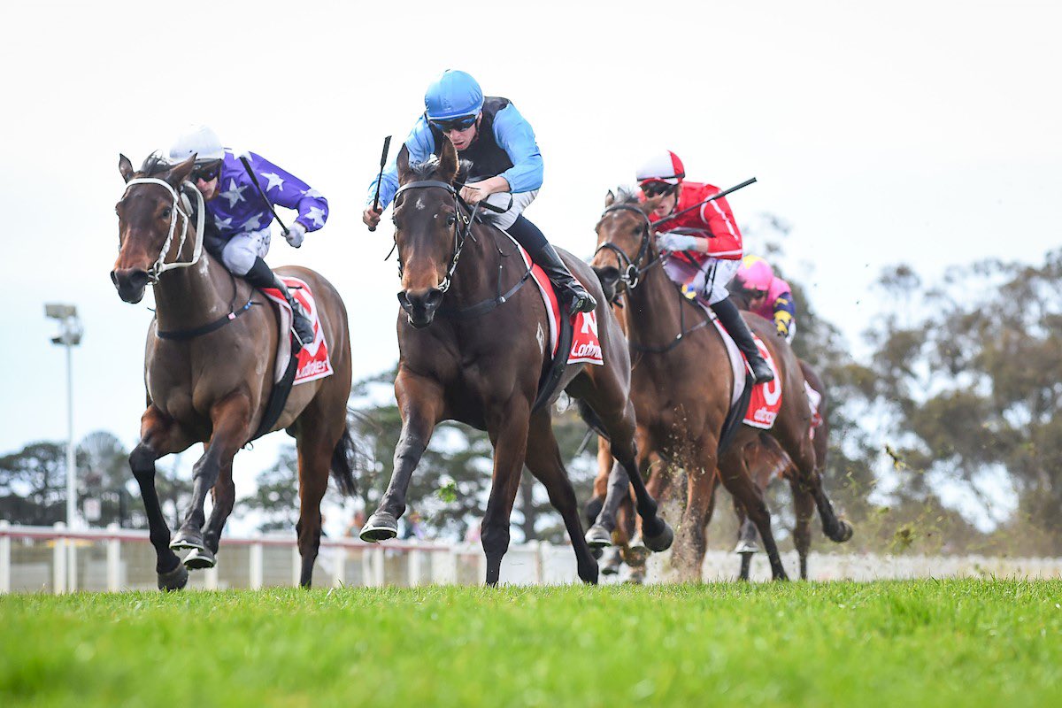 Racehorses and jockeys sprinting on a track, lead horse in blue silks with rider leaning forward