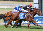 Horse race: two jockeys in blue and red helmets ride brown horses neck-and-neck toward the finish line on a sunny track, with a blue advertising board in the background