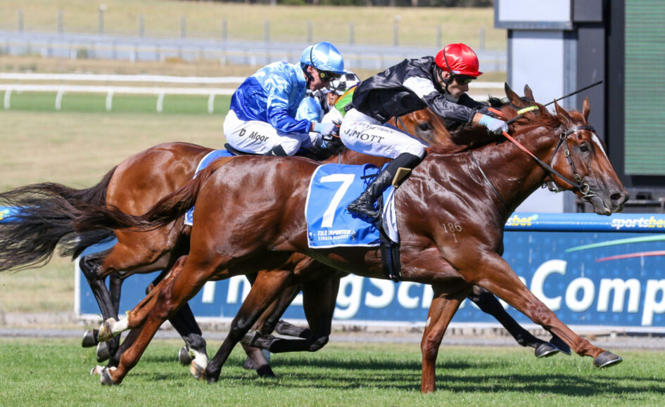 Horse race: two jockeys in blue and red helmets ride brown horses neck-and-neck toward the finish line on a sunny track, with a blue advertising board in the background