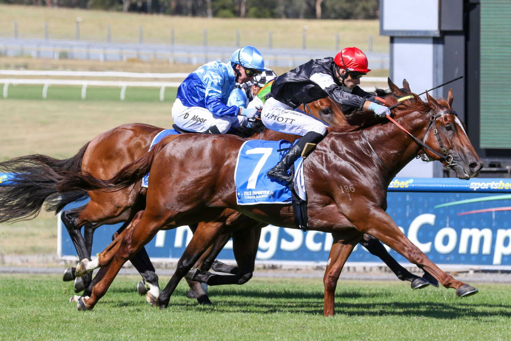 Horse race: two jockeys in blue and red helmets ride brown horses neck-and-neck toward the finish line on a sunny track, with a blue advertising board in the background