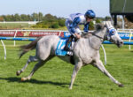 Grey racehorse with blue and white jockey silks sprinting on a sunny turf track, rider leaning forward in a blue helmet and goggles, blue saddle cloth marked 11ous