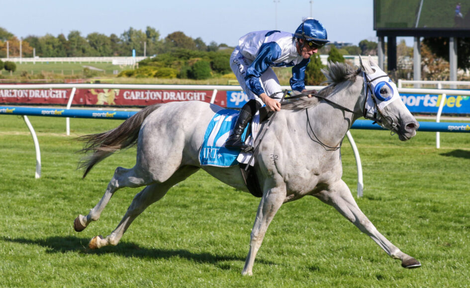 Grey racehorse with blue and white jockey silks sprinting on a sunny turf track, rider leaning forward in a blue helmet and goggles, blue saddle cloth marked 11ous