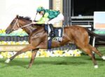 Jockey in green/yellow silks riding a brown horse with saddlecloth number 1 during a race, finish-line setup and yellow flowers in the background.