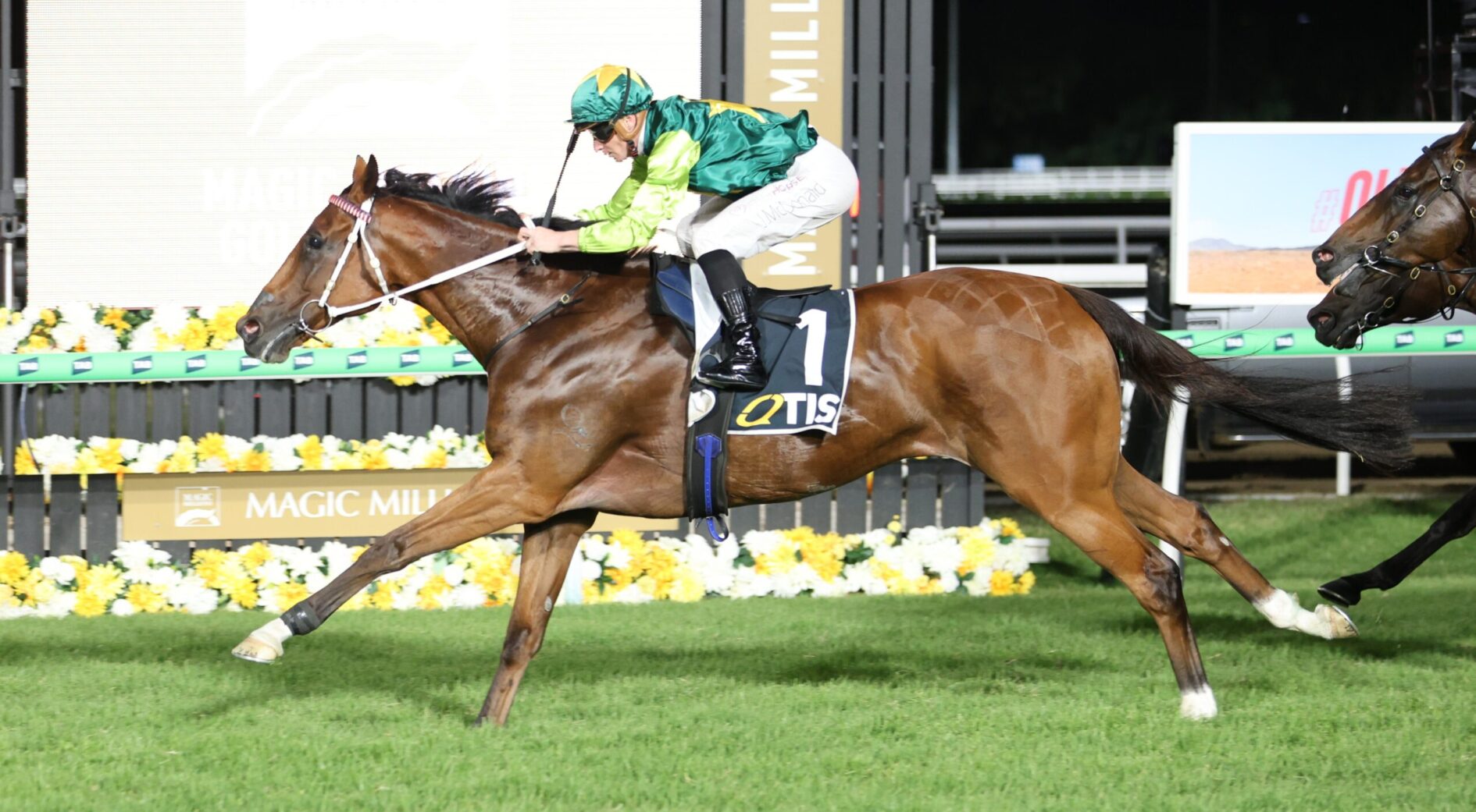Jockey in green/yellow silks riding a brown horse with saddlecloth number 1 during a race, finish-line setup and yellow flowers in the background.