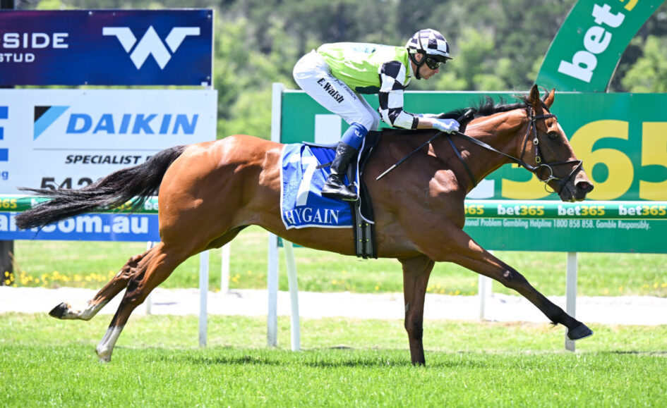 Bay racehorse with rider in green-and-white silks speeding along a grassy track past billboards and rails on a sunny day.