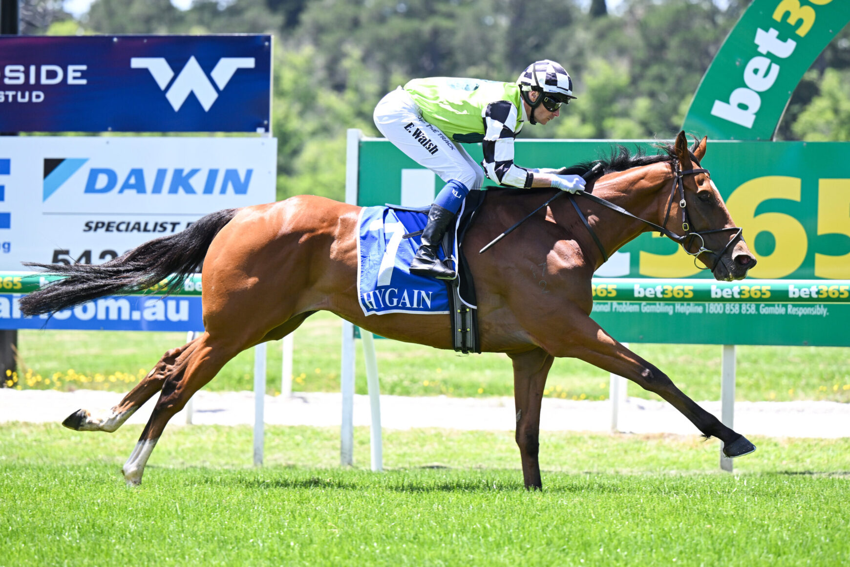 Bay racehorse with rider in green-and-white silks speeding along a grassy track past billboards and rails on a sunny day.