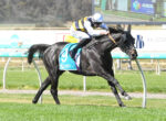 Jockey riding a dark horse with turquoise saddlecloth number 9 during a race on a grassy track.