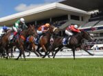 Group of jockeys in colorful silks racing on a green turf track with a modern grandstand and spectators in the background