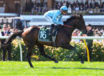 Jockey in blue silks rides a dark horse wearing number 16 in a horse race, with a cheering crowd in the background.