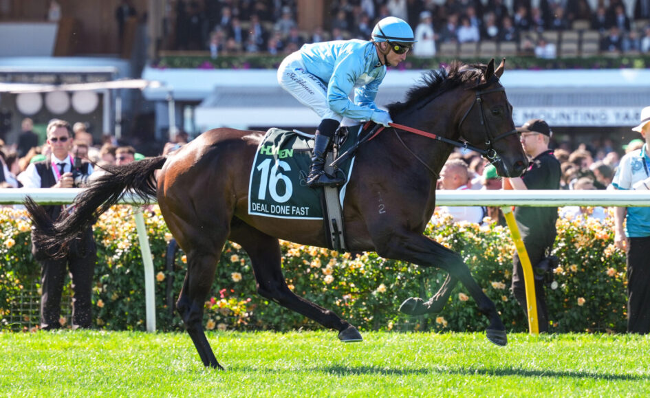 Jockey in blue silks rides a dark horse wearing number 16 in a horse race, with a cheering crowd in the background.