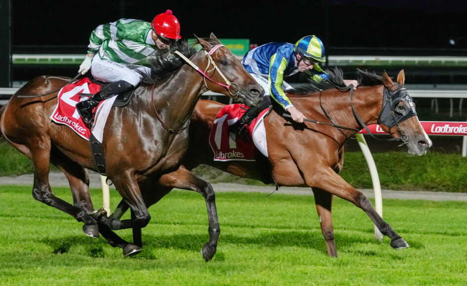 Two jockeys ride closely in a nighttime horse race, leaning forward as these sprinting horses stride on the turf with a Ladbrokes banner visible on the saddleship.
