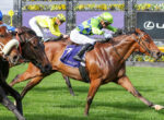 Brown racehorse leads a tight sprint, jockey in neon green silks leaning forward on the inside rail; other horses close behind on the grass track.