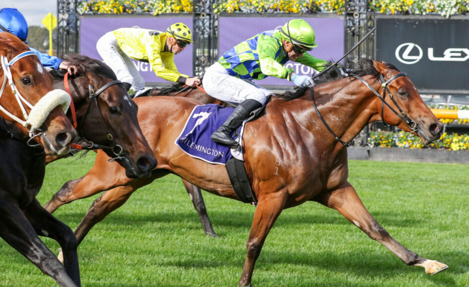 Brown racehorse leads a tight sprint, jockey in neon green silks leaning forward on the inside rail; other horses close behind on the grass track.