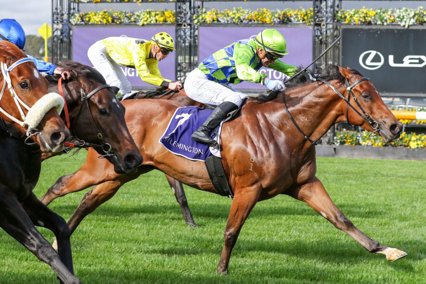 Brown racehorse leads a tight sprint, jockey in neon green silks leaning forward on the inside rail; other horses close behind on the grass track.