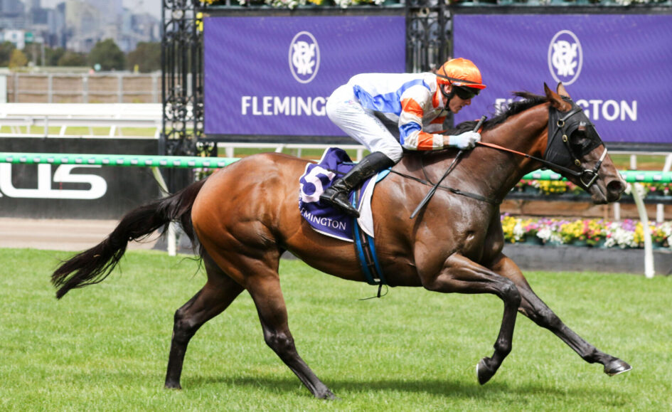Jockey in orange cap riding a galloping brown horse on a grass racecourse with a purple Flemington banner in the background