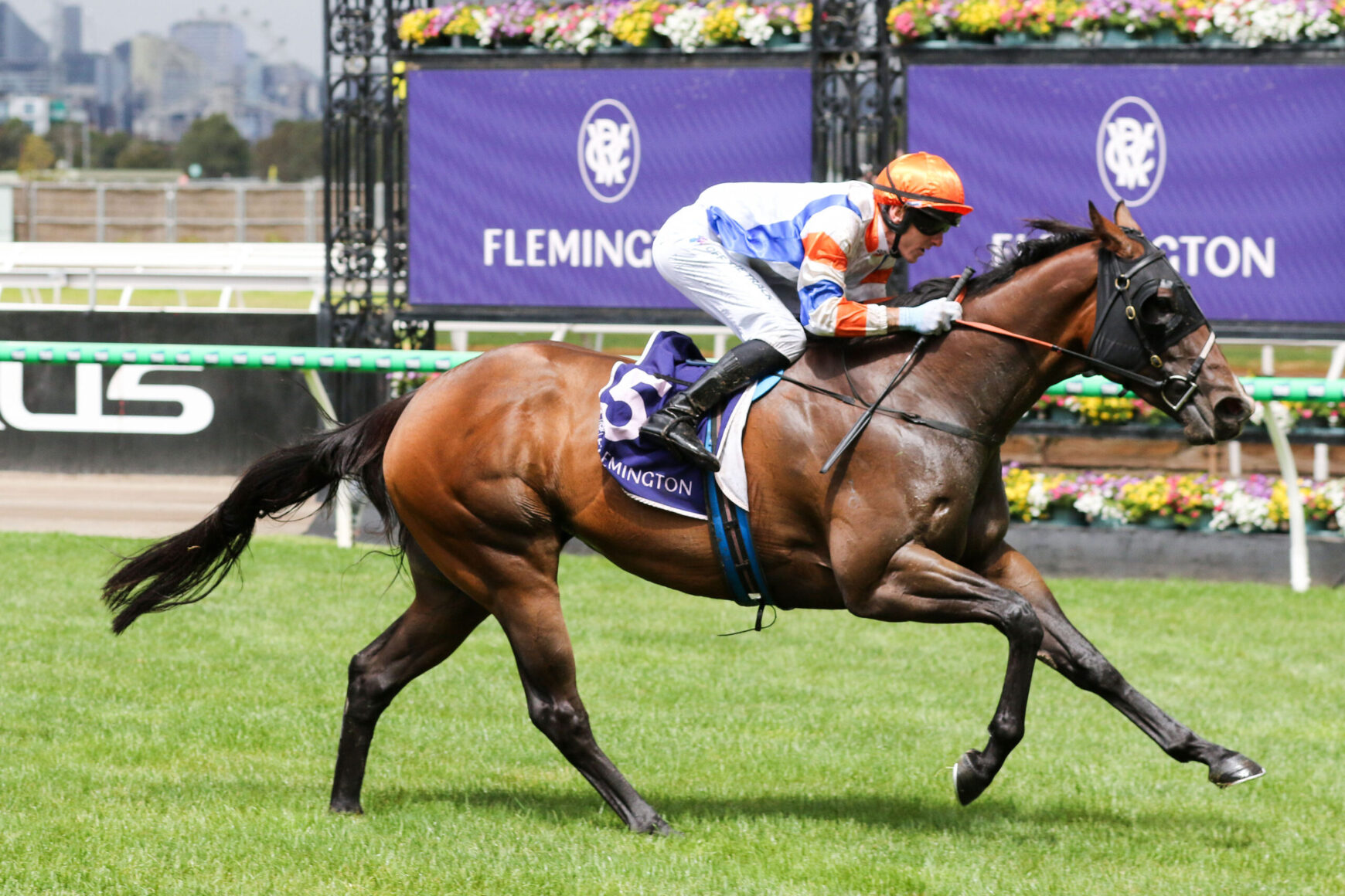 Jockey in orange cap riding a galloping brown horse on a grass racecourse with a purple Flemington banner in the background