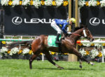 Jockey in blue and yellow silks rides a brown horse with green number 4 bib during a horse race, Lexus signage and floral decorations in the background.