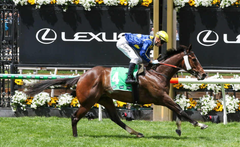 Jockey in blue and yellow silks rides a brown horse with green number 4 bib during a horse race, Lexus signage and floral decorations in the background.