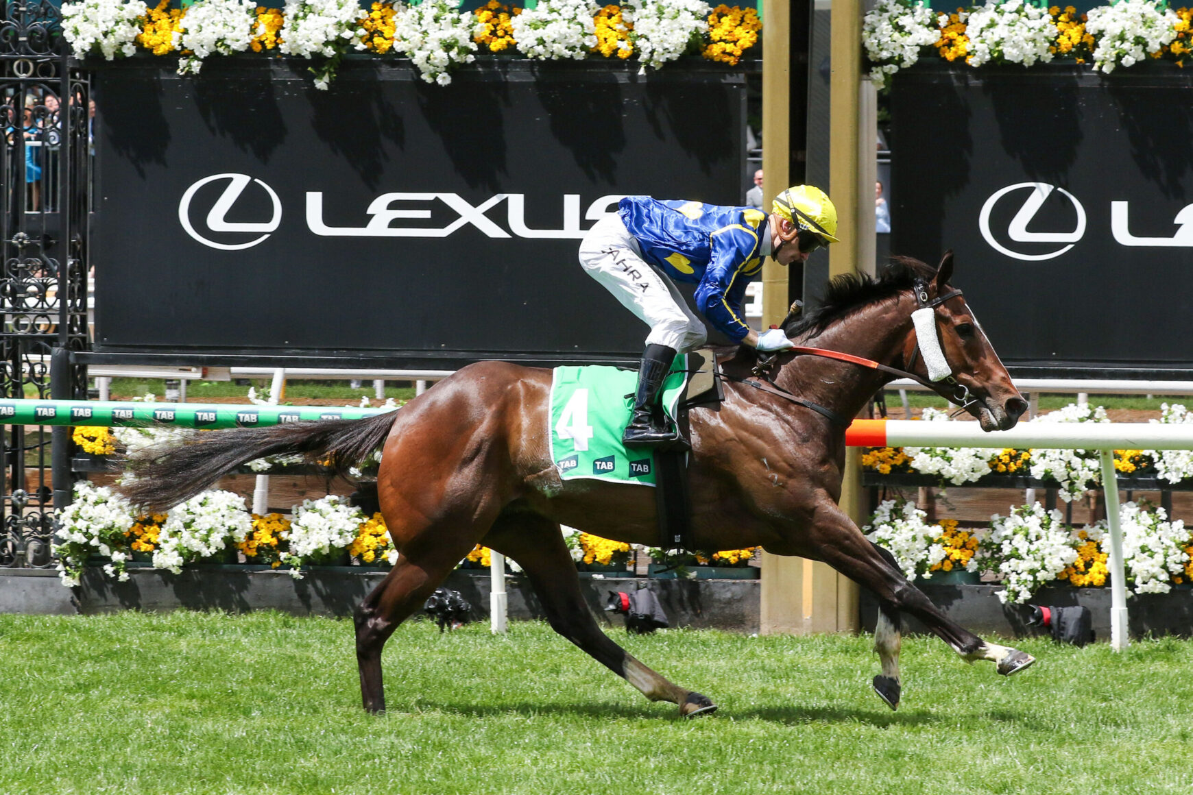Jockey in blue and yellow silks rides a brown horse with green number 4 bib during a horse race, Lexus signage and floral decorations in the background.