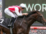 Jockey in white helmet and red-and-white silks leans forward on a dark brown horse during a race, saddle cloth shows number 2 with Ladbrokes signage in the background to the right.