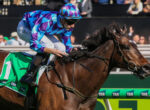 Jockey in blue and purple geometric silks riding a brown horse at a racetrack, leaning forward during a race.