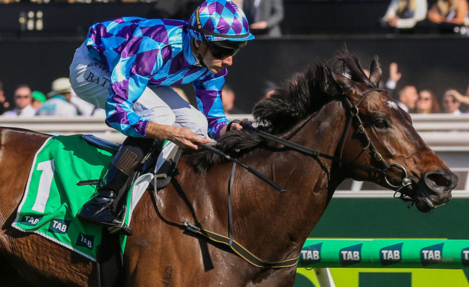 Jockey in blue and purple geometric silks riding a brown horse at a racetrack, leaning forward during a race.
