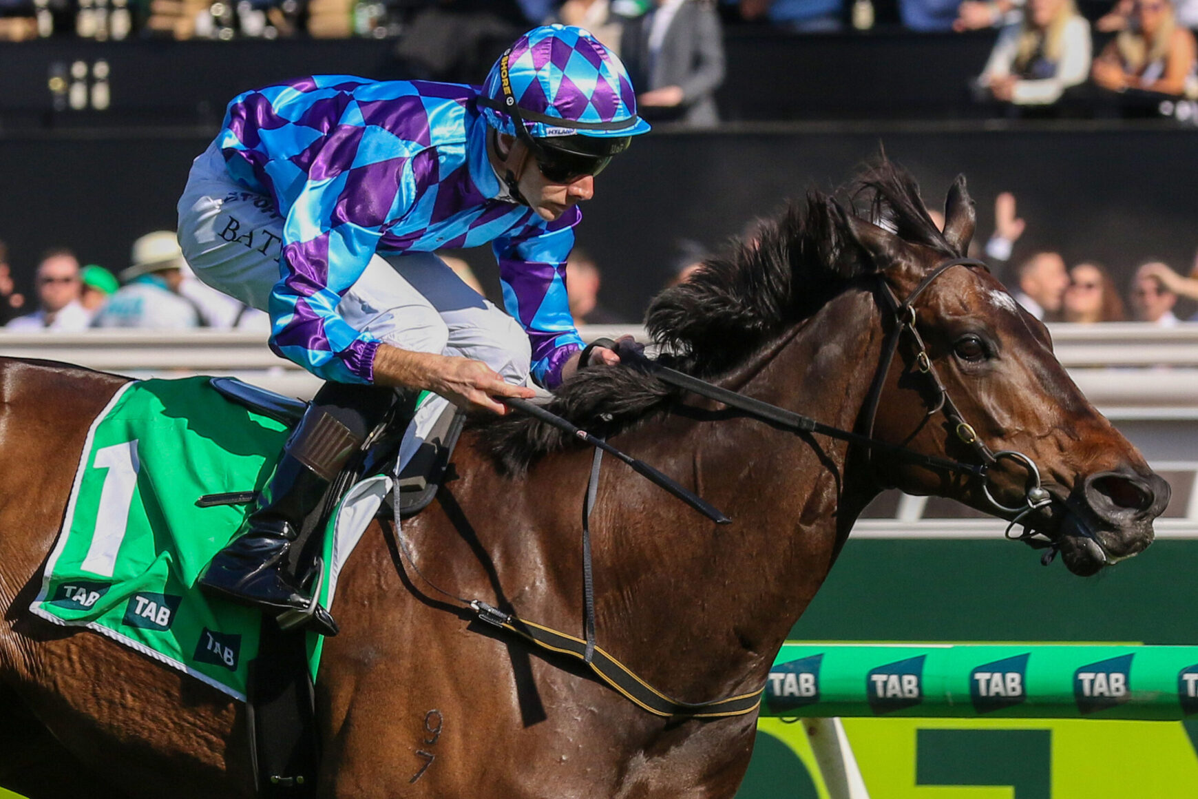 Jockey in blue and purple geometric silks riding a brown horse at a racetrack, leaning forward during a race.