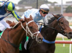 Two jockeys race side by side on sprinting horses, leaning forward in colorful silks and helmets.