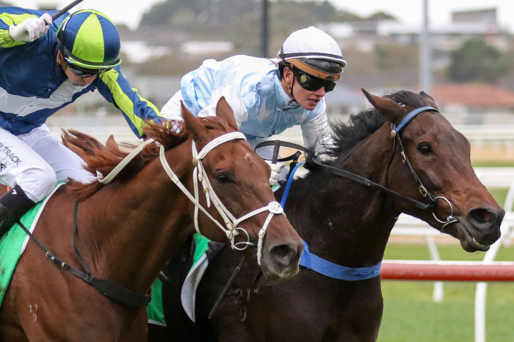 Two jockeys race side by side on sprinting horses, leaning forward in colorful silks and helmets.