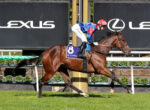 Jockey in blue and red rides a brown horse wearing number 8 saddlecloth racing on a sunny track, Lexus ads in the background.