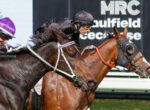 Two racehorses neck-and-neck with jockeys in colorful silks during a horse race at a track.