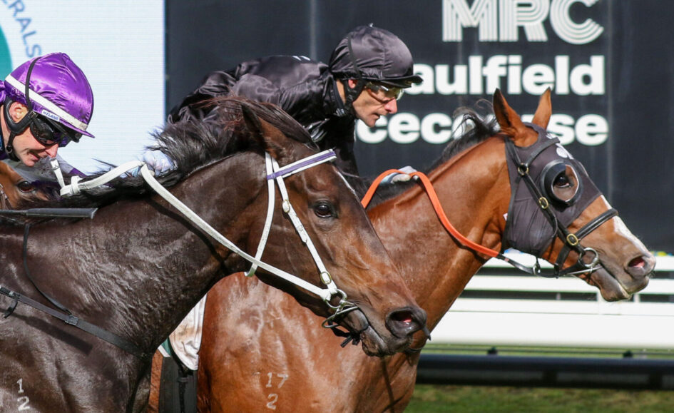 Two racehorses neck-and-neck with jockeys in colorful silks during a horse race at a track.
