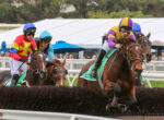Jockeys in colorful silks ride racehorses over a hedge hurdle at a crowded racecourse, spectators in the background.