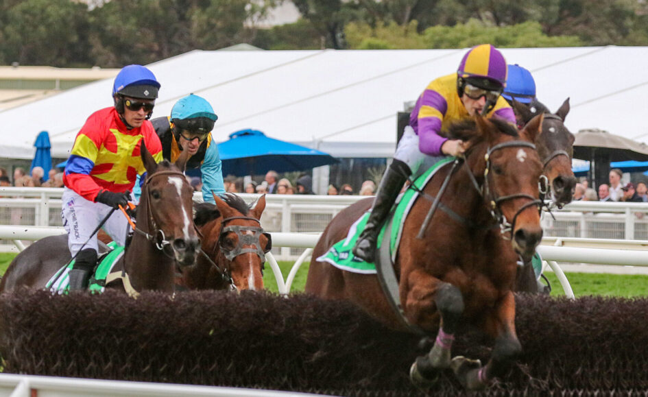 Jockeys in colorful silks ride racehorses over a hedge hurdle at a crowded racecourse, spectators in the background.