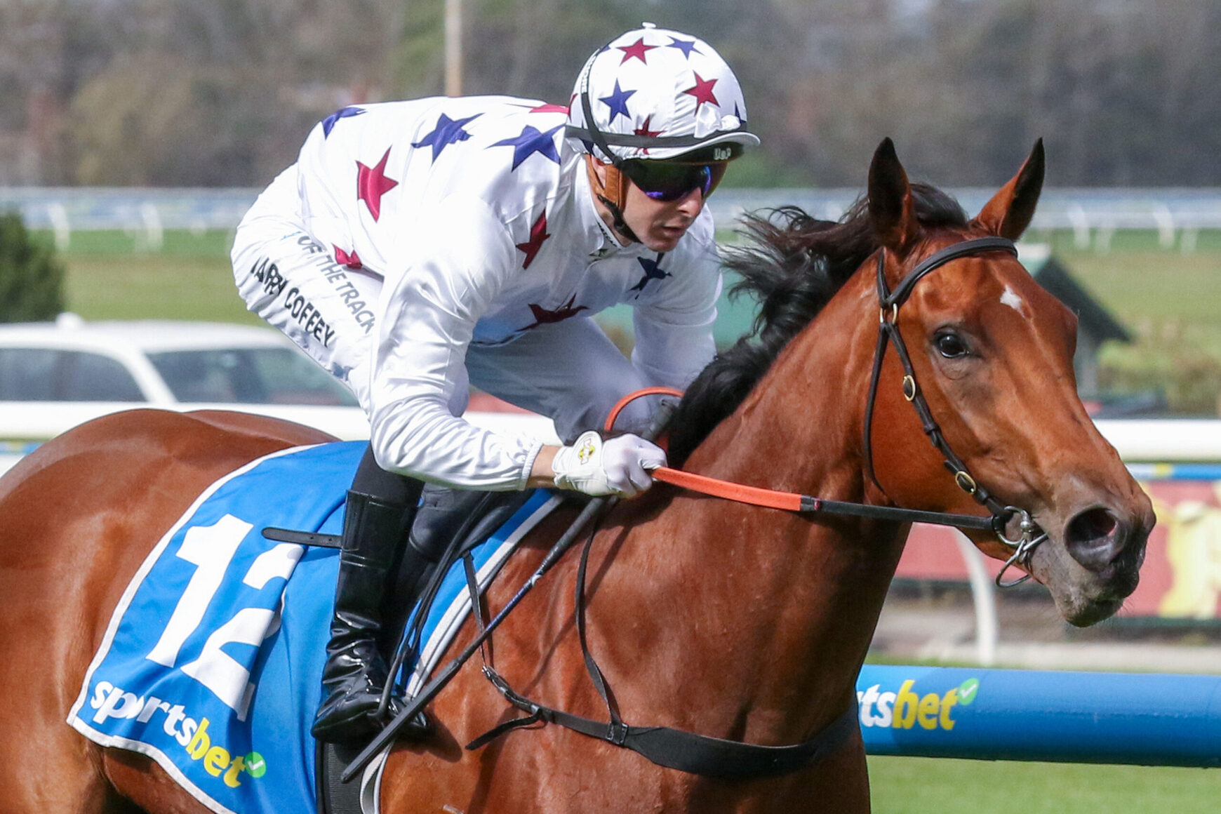 Jockey in star-patterned white silks rides a brown horse mid-race, blue saddlecloth and barrier in the background.