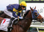 Jockey in a yellow helmet and blue-yellow silks rides a brown racehorse wearing a blue hood during a race.