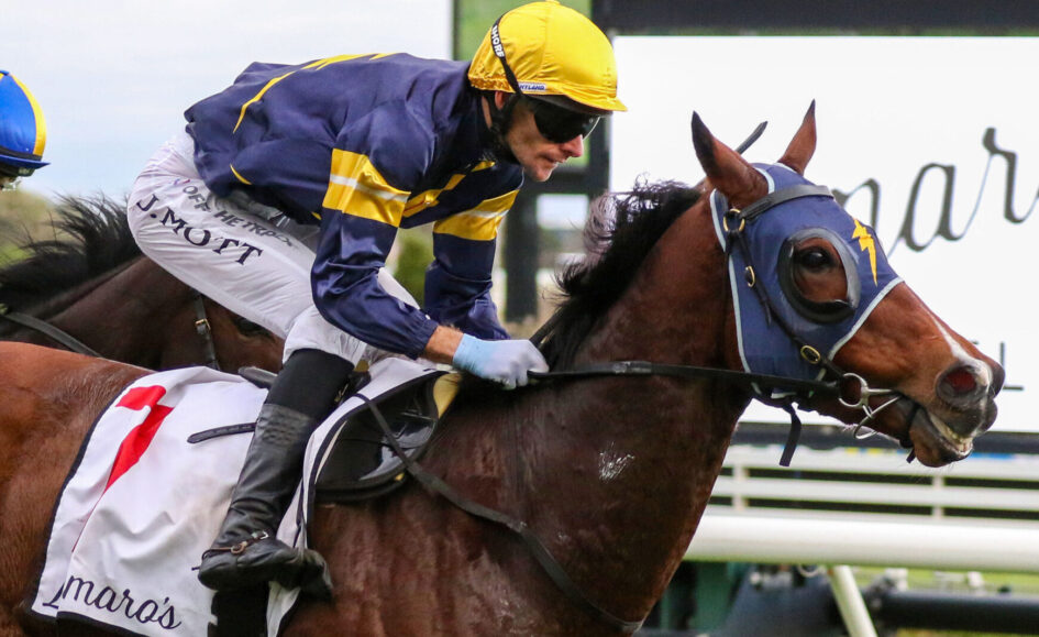 Jockey in a yellow helmet and blue-yellow silks rides a brown racehorse wearing a blue hood during a race.